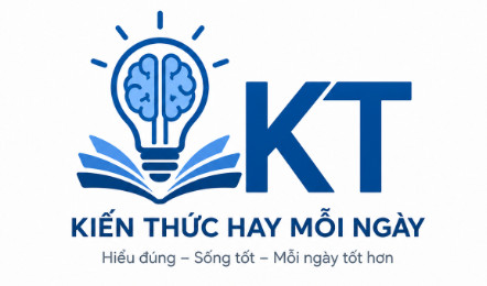 Kiến Thức Hay Mỗi Ngày